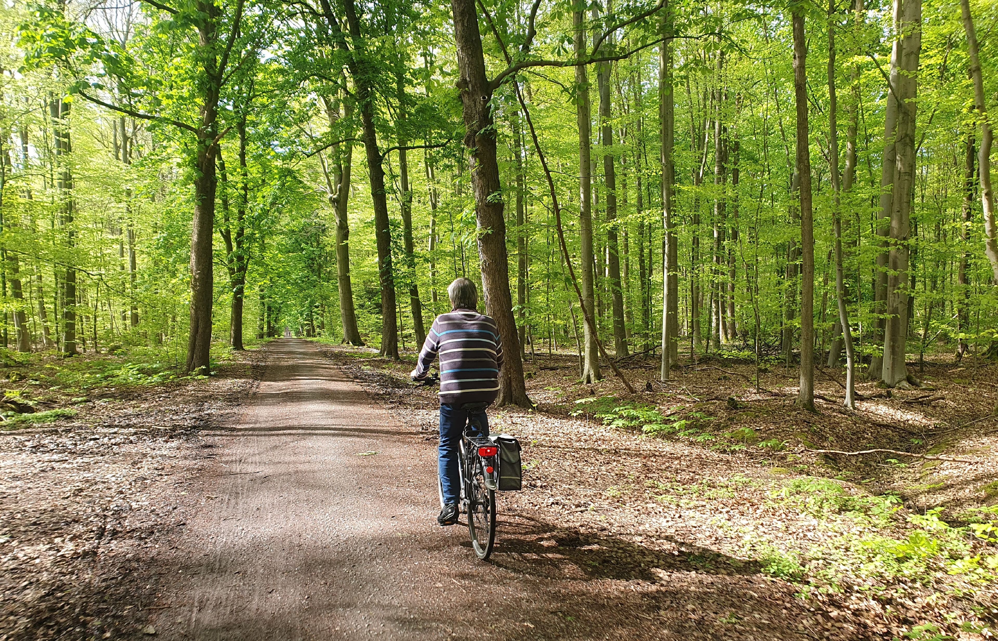 Fahrradtouren-Highlight: Von der Aue ans Meer in Wunstorf