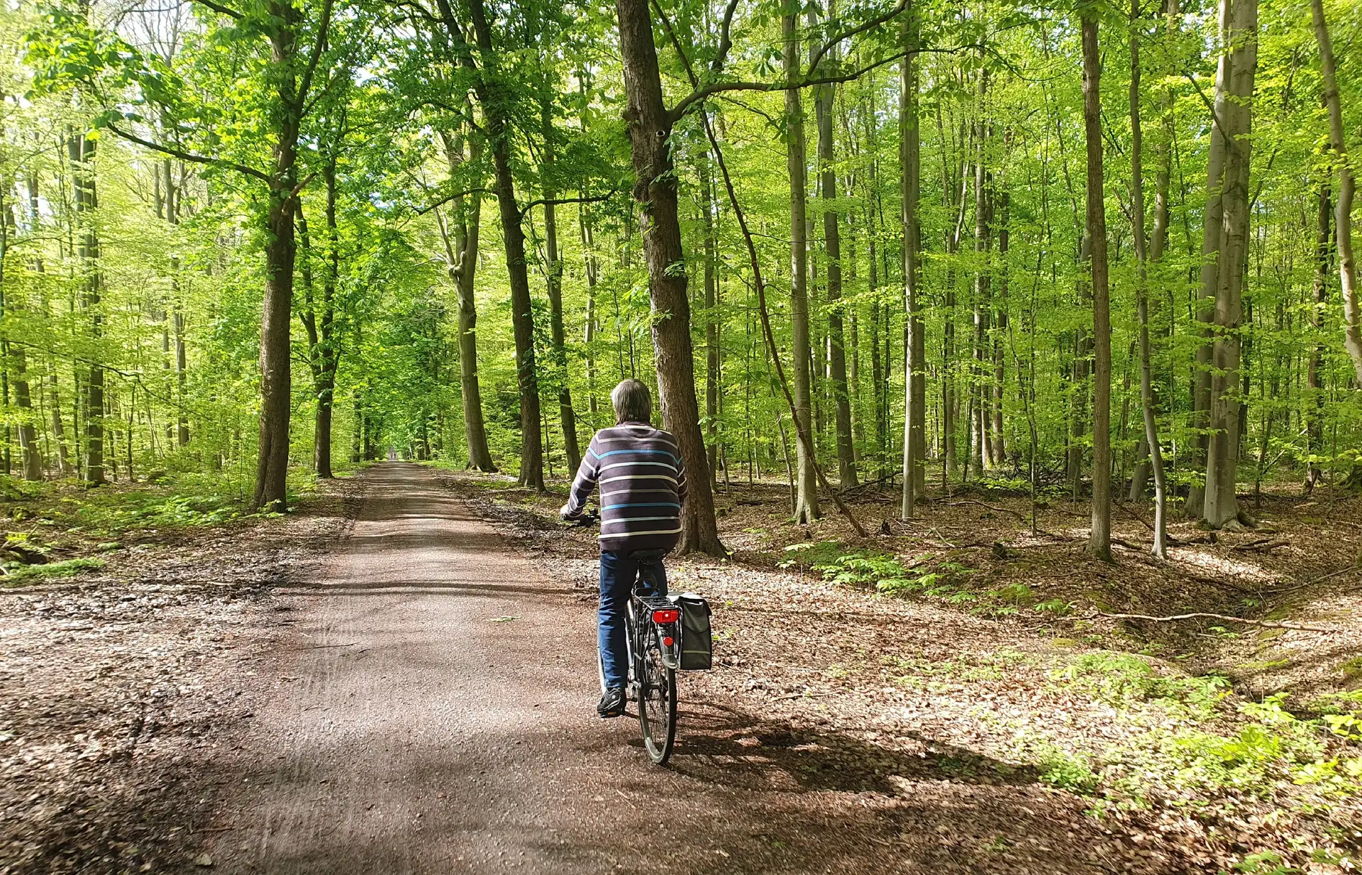 Fahrradtouren-Highlight: Von der Aue ans Meer in Wunstorf