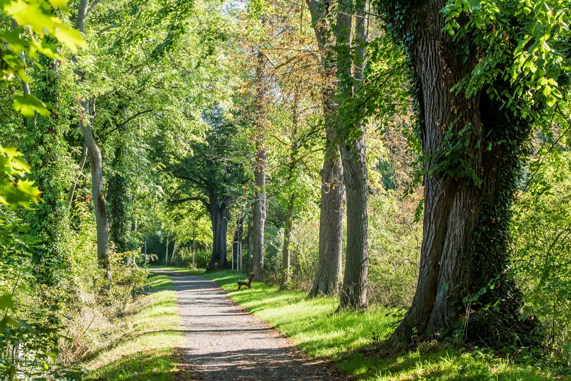 Naturerlebnisse in Duderstadt