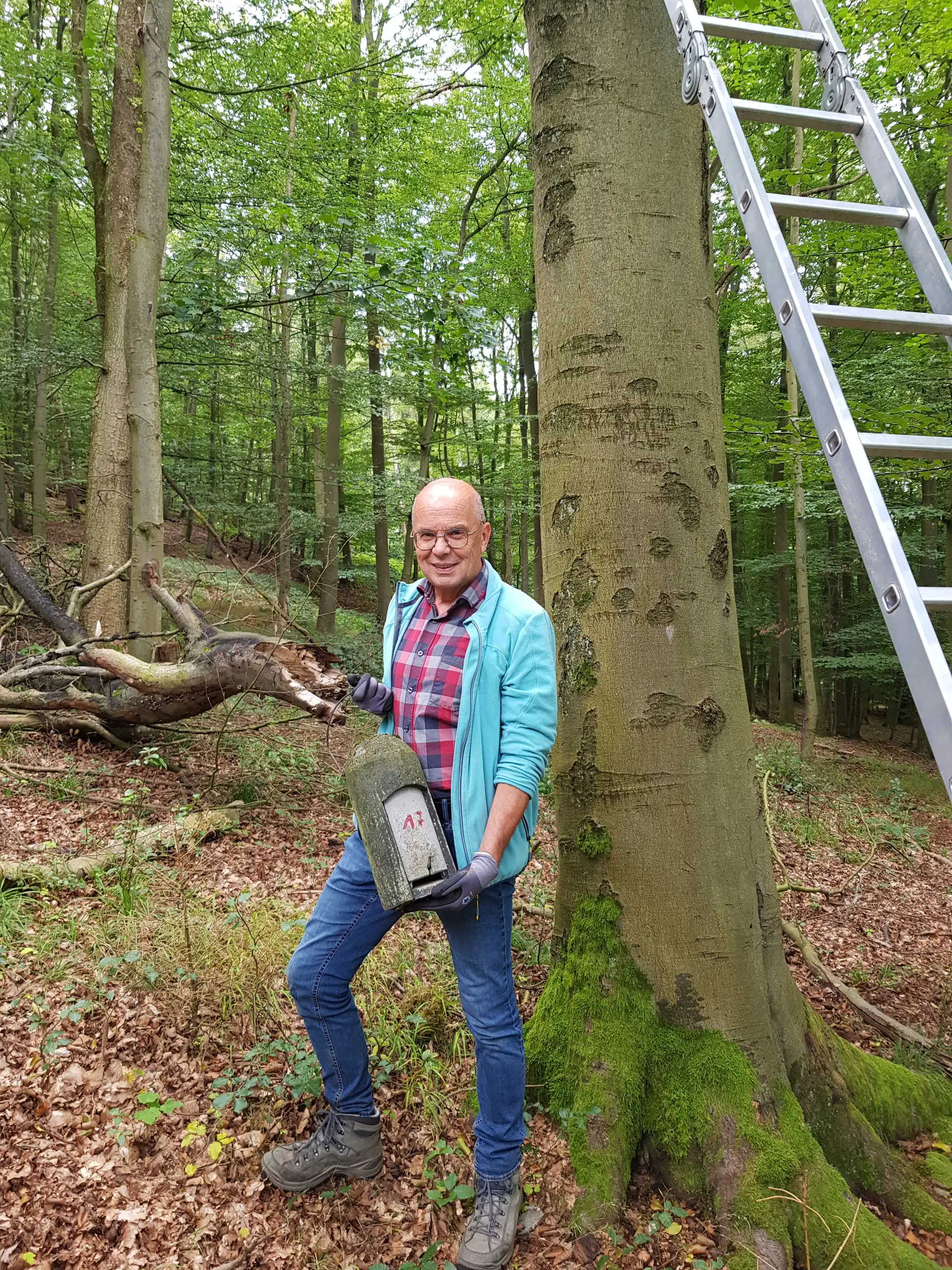 Abendführung „Der Friedhof – ein Lebensraum für Fledermäuse“ in Hameln