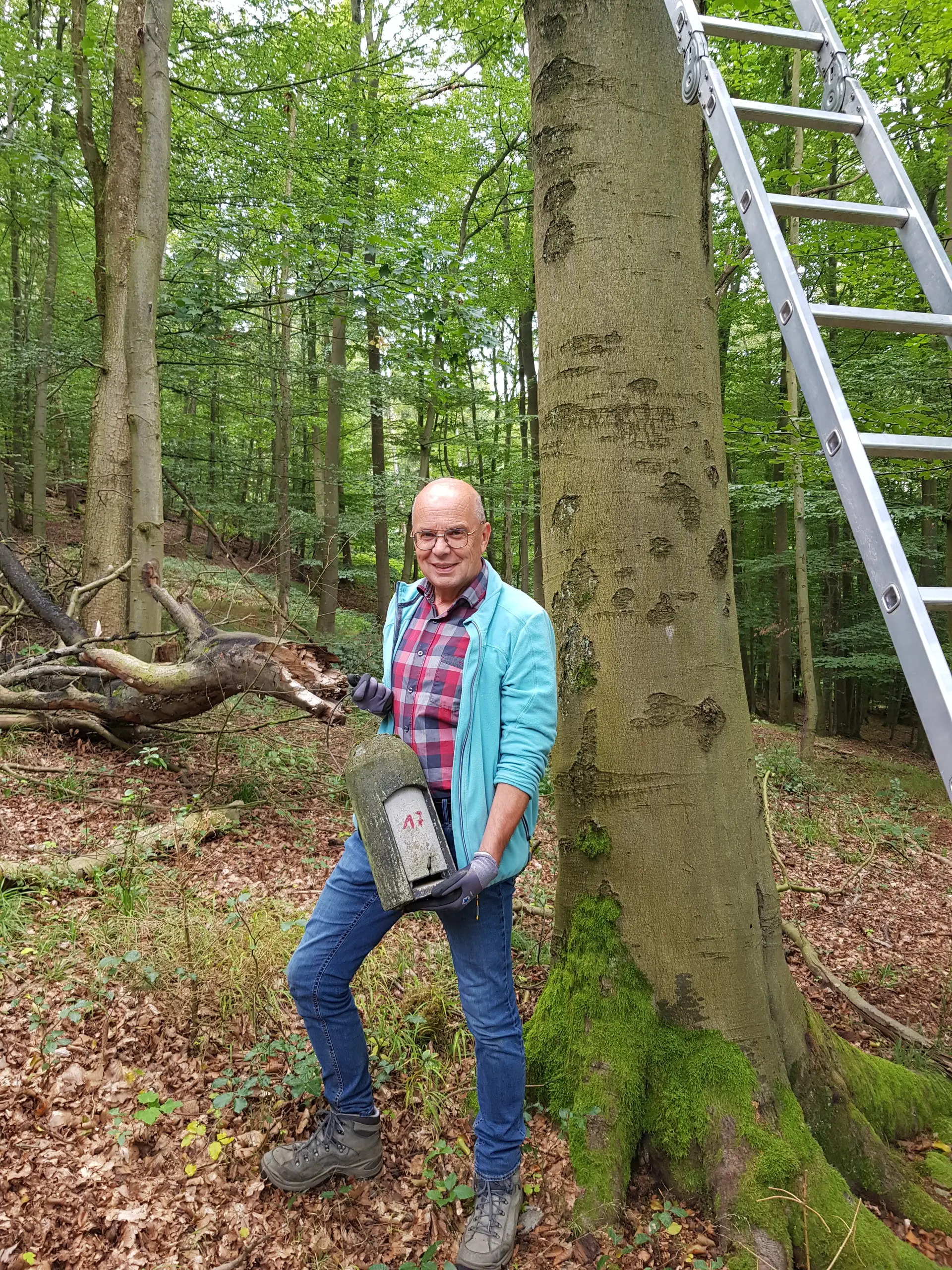 Abendführung „Der Friedhof – ein Lebensraum für Fledermäuse“ in Hameln