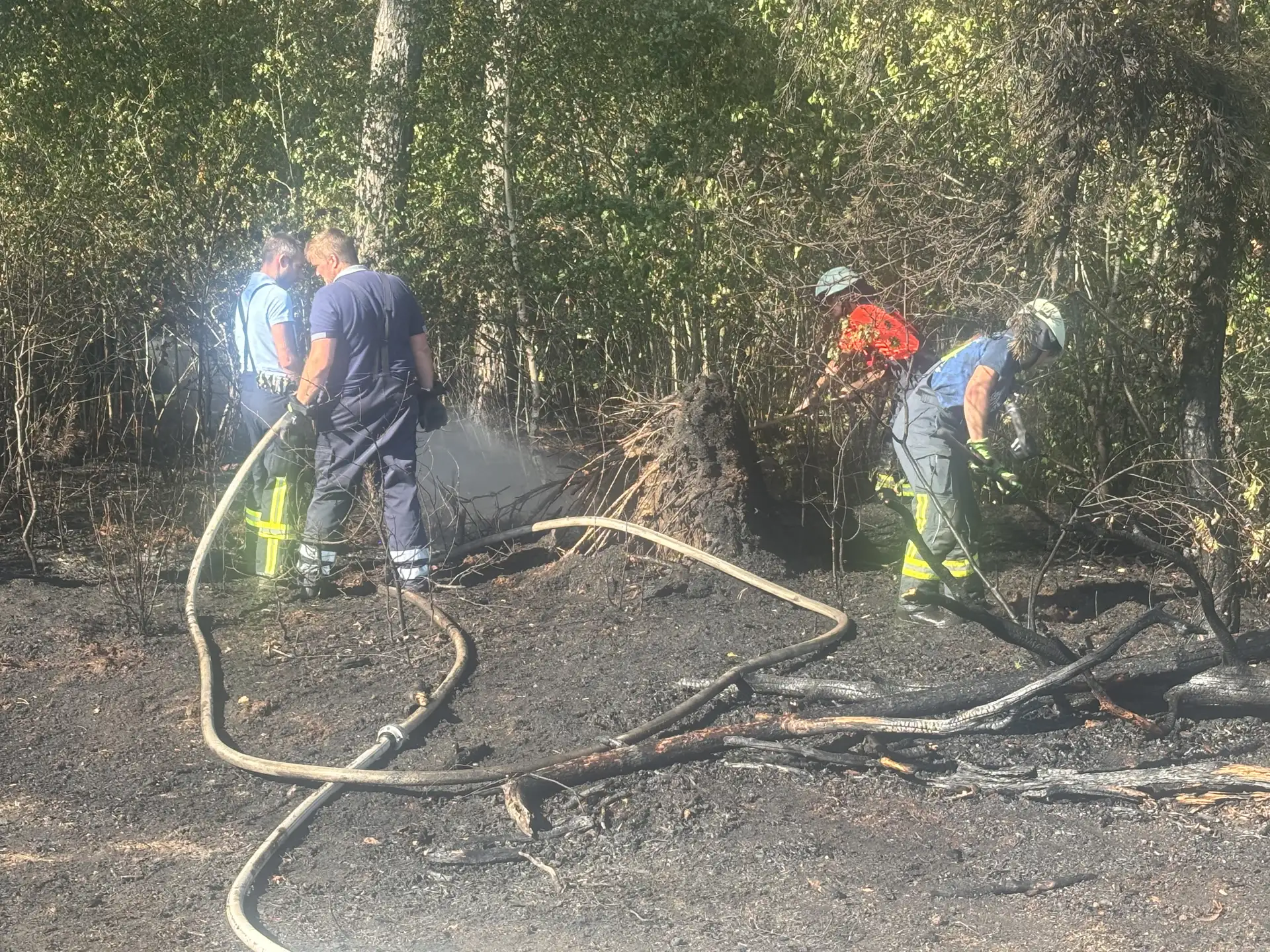 FW-ROW: Wald- und Flächenbrand zwischen Zeven und Godenstedt