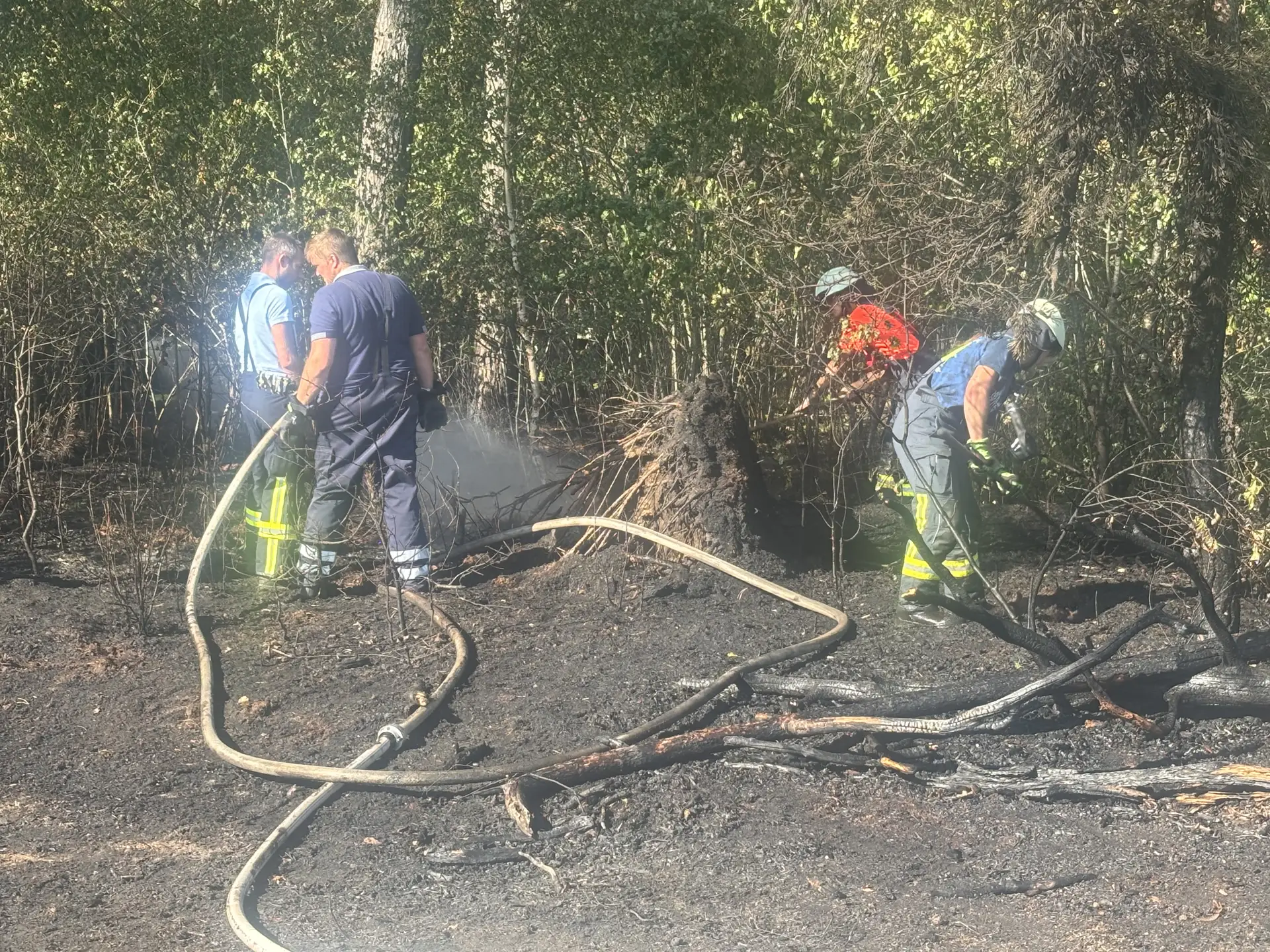 FW-ROW: Wald- und Flächenbrand zwischen Zeven und Godenstedt